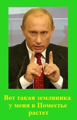 Путин. Создаем образ президента